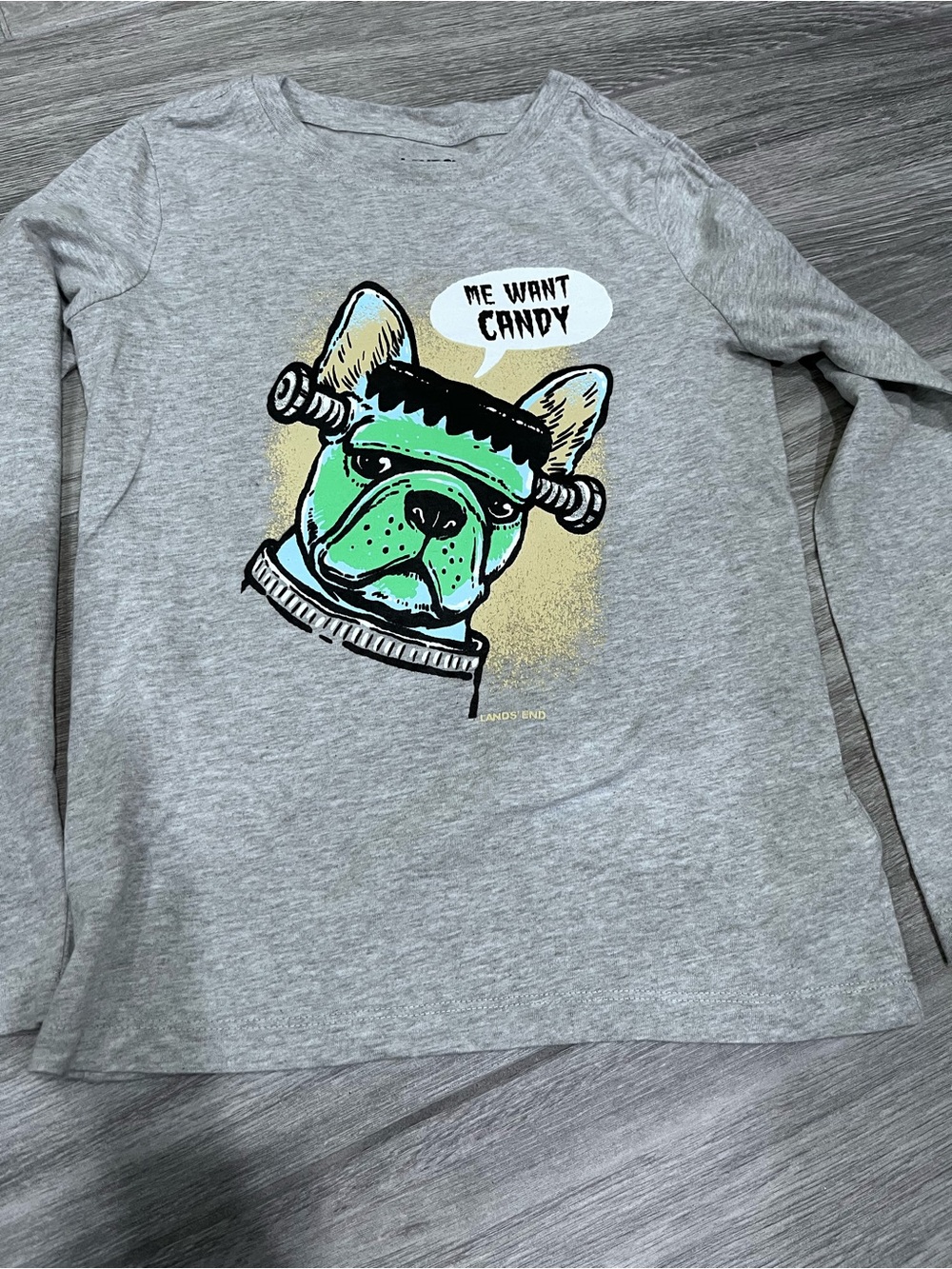 Lands' End Gray Dog Graphic Tee with Green Frenchie Print